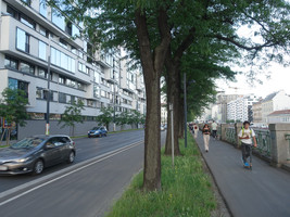 Dreispurige Straße, Gehsteig nur links, rechts zwei Radwege, durch Baumreihe getrennt, einer davon inoffiziell durch Gehende benützt